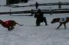 image191_small.jpg