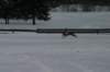 image201_small.jpg