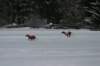 image202_small.jpg