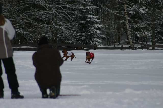 image204.jpg