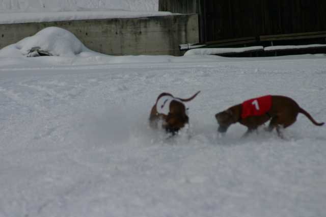 image207.jpg