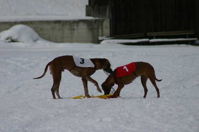 image208.jpg