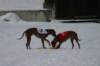 image208_small.jpg
