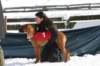 image210_small.jpg