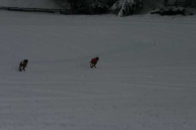 image231.jpg