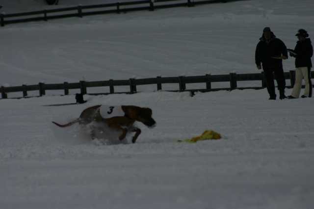 image234.jpg