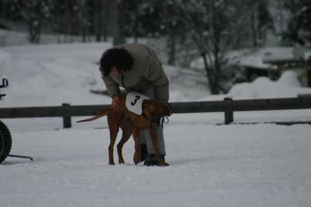 image238.jpg