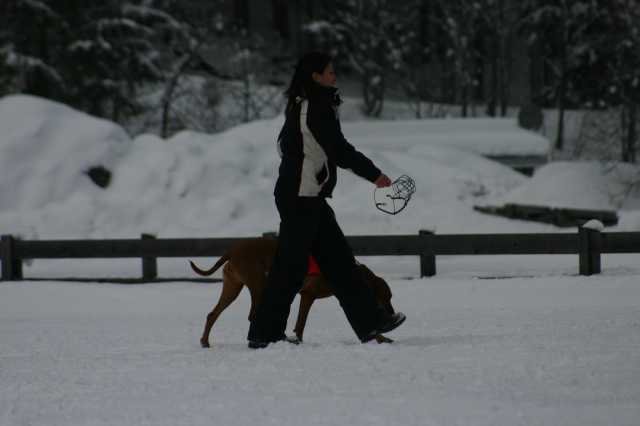 image243.jpg