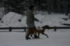 image247_small.jpg