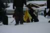 image250_small.jpg