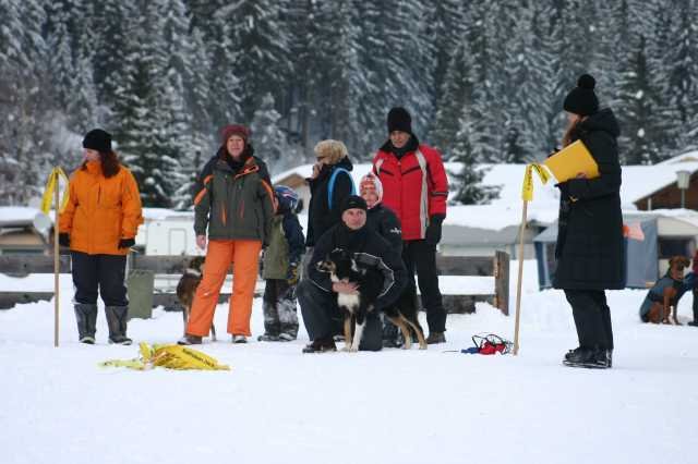 image274.jpg