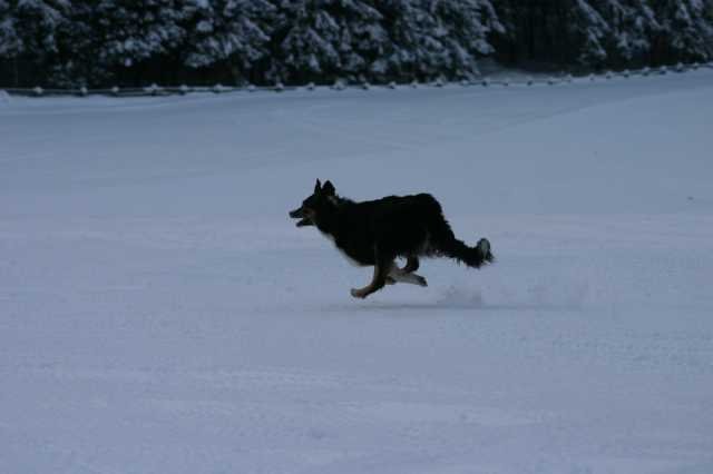 image279.jpg