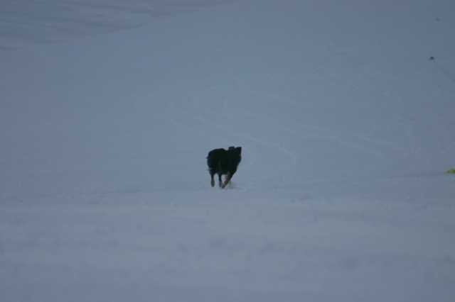 image282.jpg