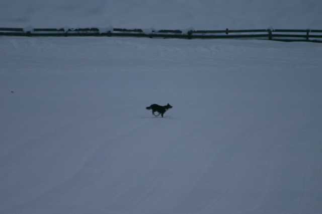 image285.jpg