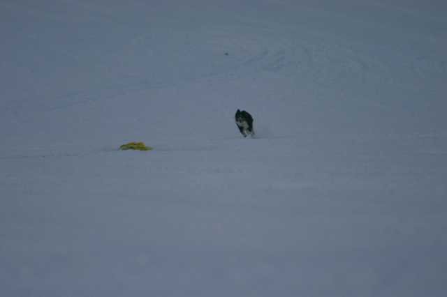 image289.jpg