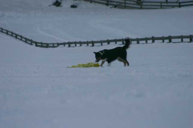 image291.jpg