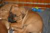 img_1844_small.jpg