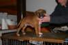 img_1845_small.jpg