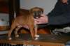 img_1846_small.jpg