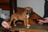 img_1849_small.jpg
