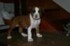 img_1852_small.jpg