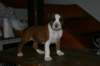 img_1853_small.jpg