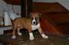 img_1854_small.jpg