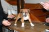 img_1856_small.jpg