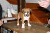 img_1857_small.jpg