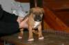 img_1858_small.jpg