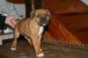 img_1859_small.jpg