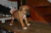 img_1860_small.jpg