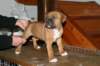 img_1861_small.jpg