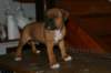 img_1862_small.jpg