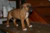 img_1863_small.jpg