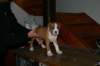 img_1864_small.jpg