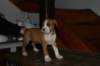 img_1865_small.jpg
