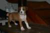 img_1866_small.jpg