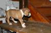 img_1867_small.jpg