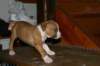 img_1868_small.jpg