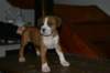 img_1869_small.jpg