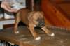 img_1870_small.jpg