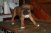 img_1871_small.jpg