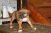 img_1872_small.jpg