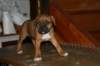 img_1873_small.jpg