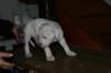 img_1875_small.jpg