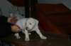 img_1876_small.jpg