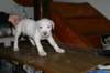 img_1877_small.jpg