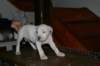 img_1878_small.jpg