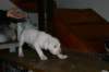 img_1879_small.jpg
